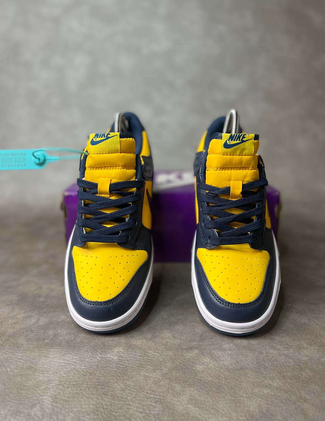 Nike Dunk Low "Michigan" 2021