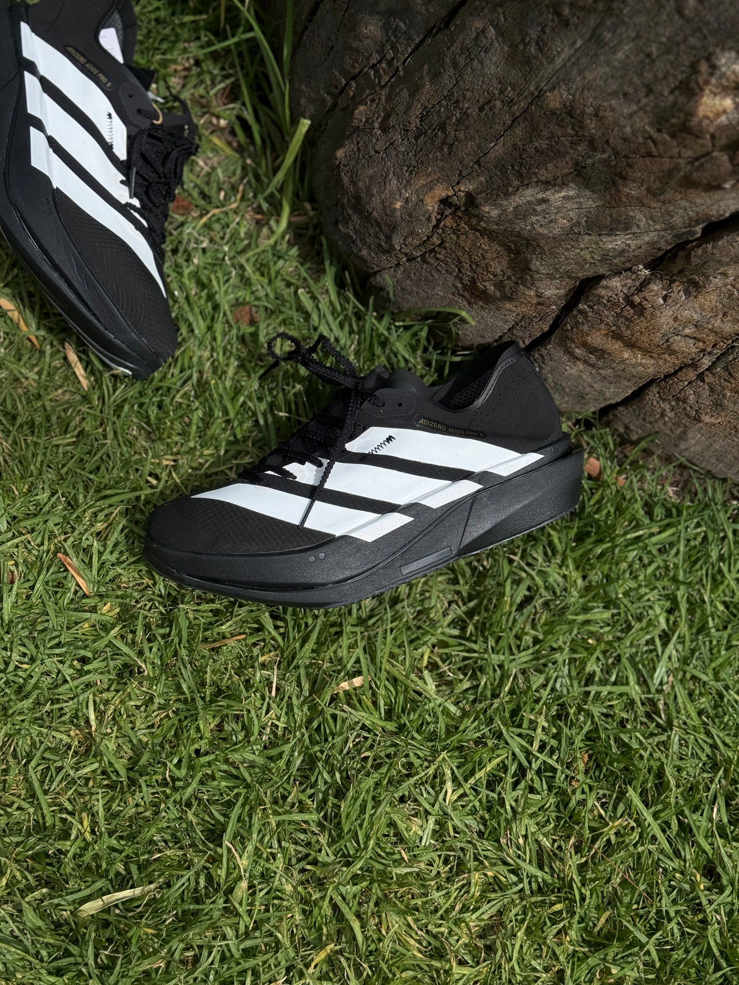 adidas Tenis Adizero EVO SL - Negro |