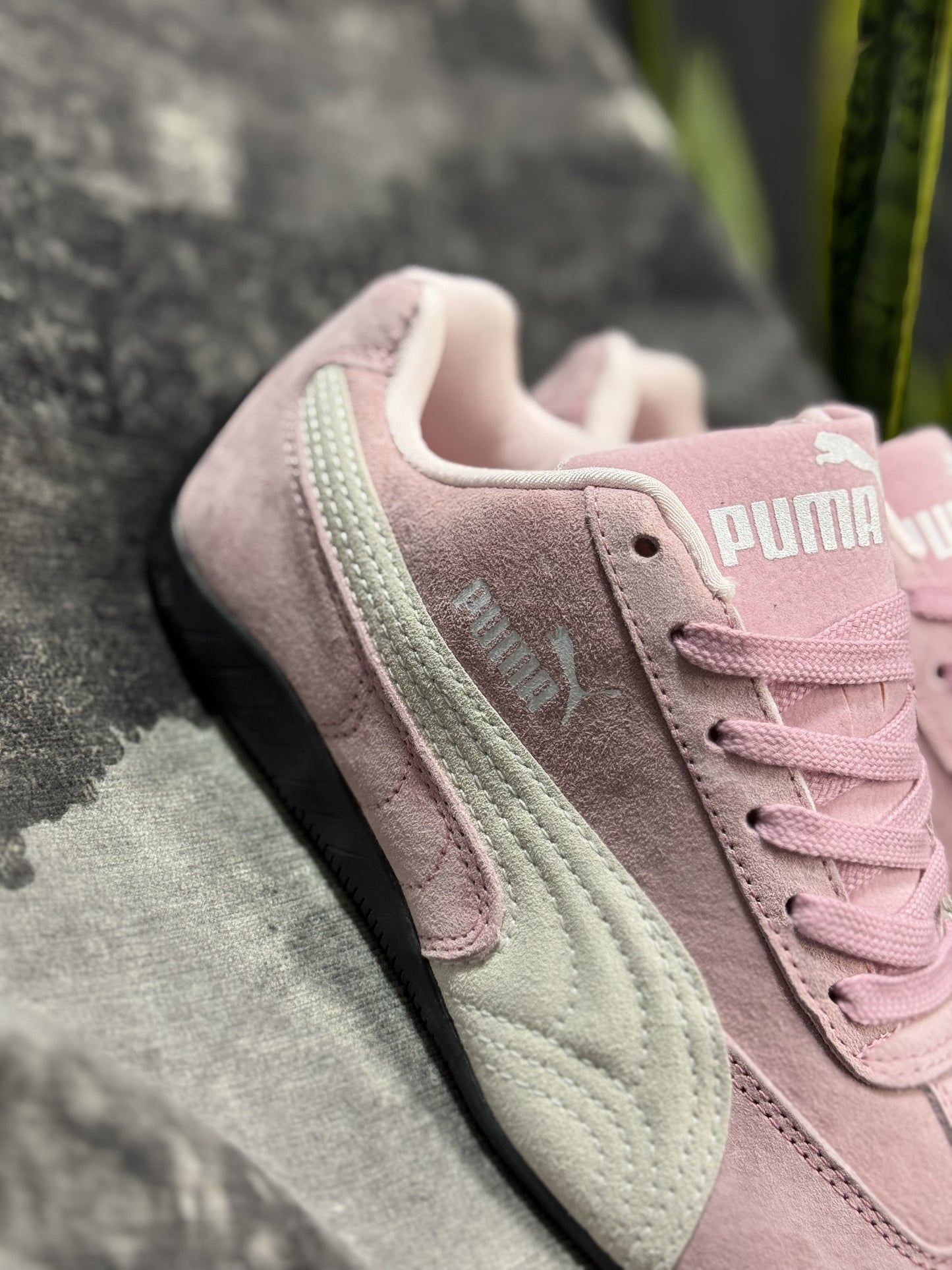 Puma. Son de gamuza rosada