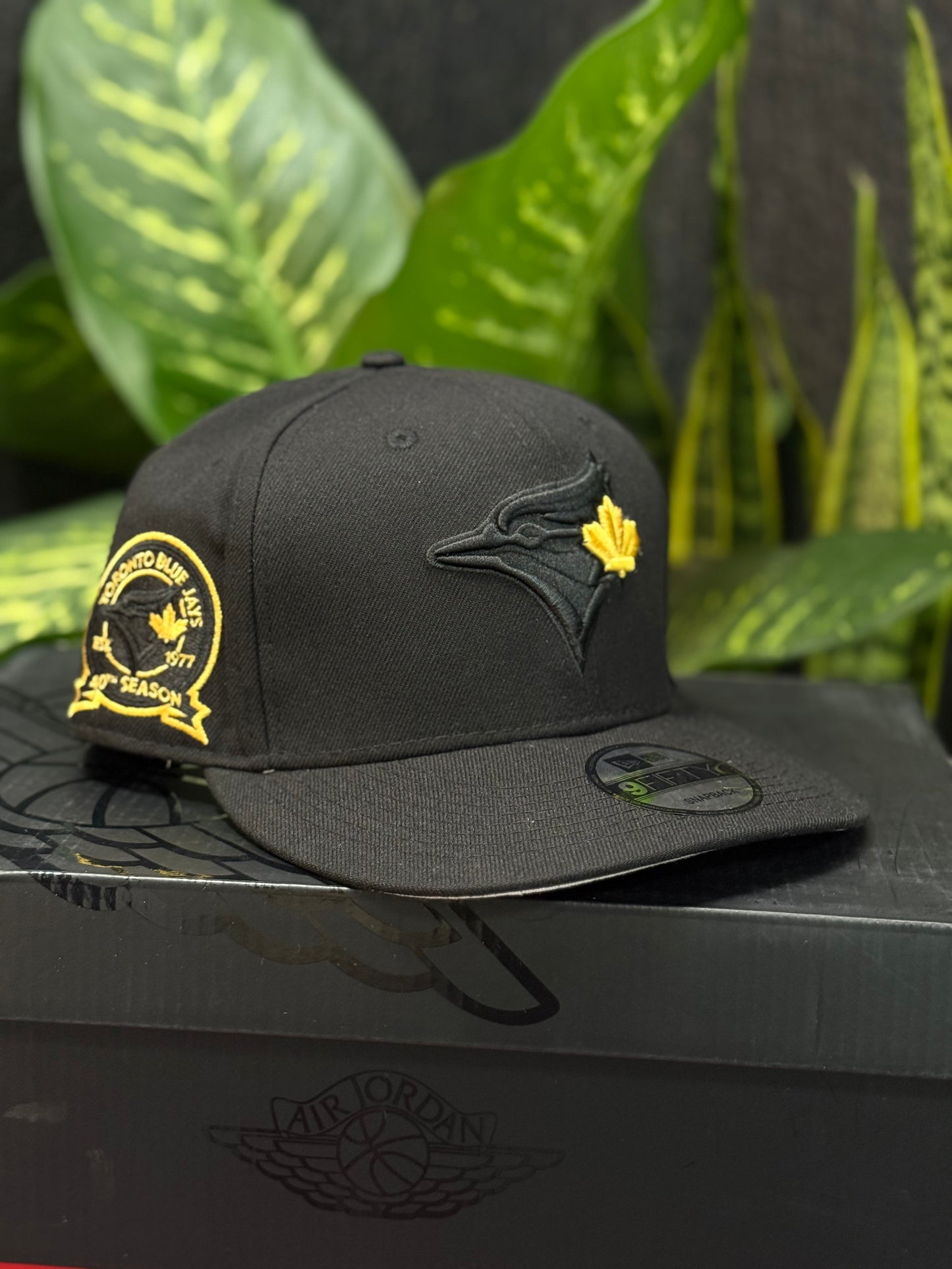 Toronto Blue Jays New Era