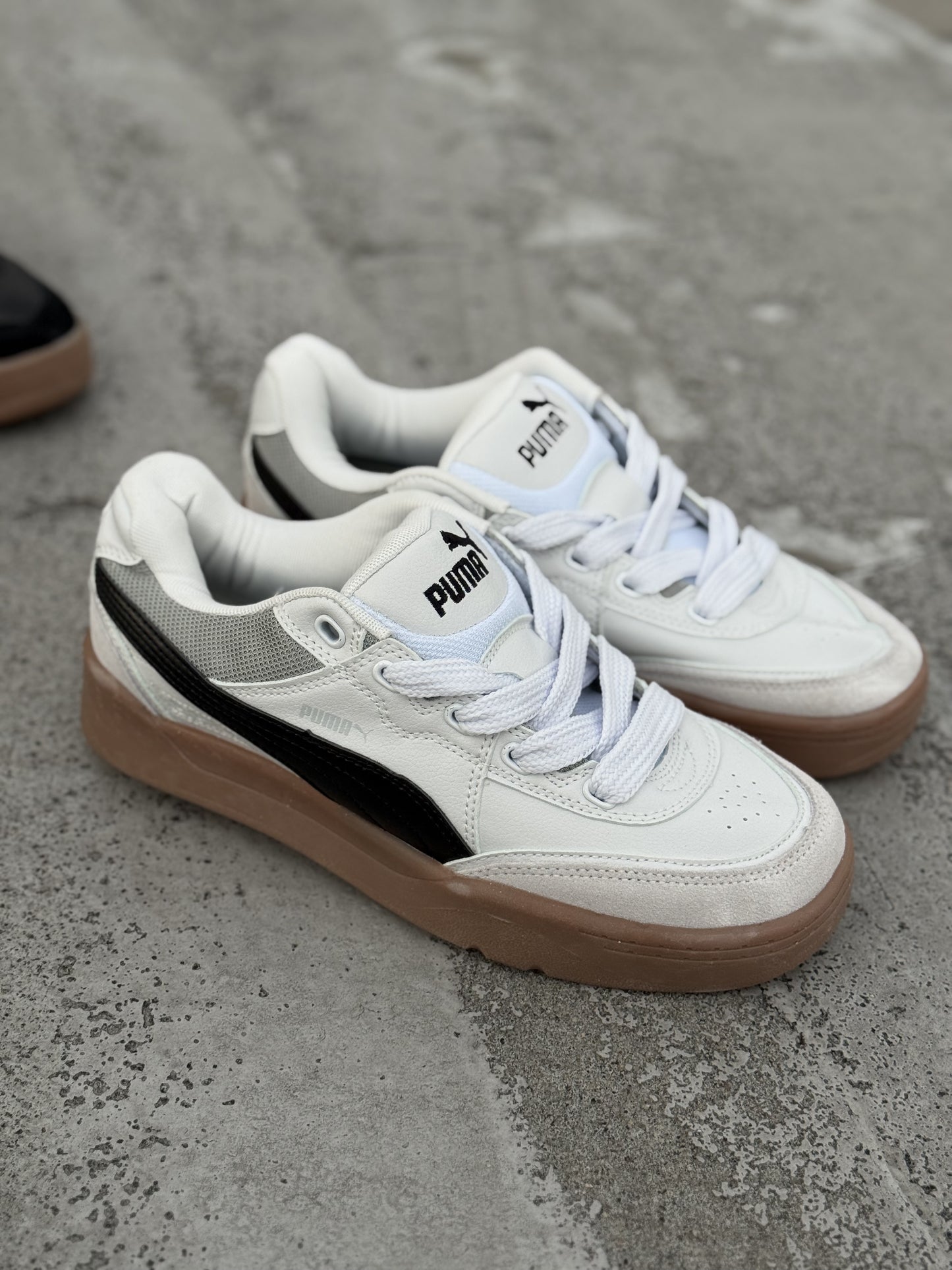 Puma Park