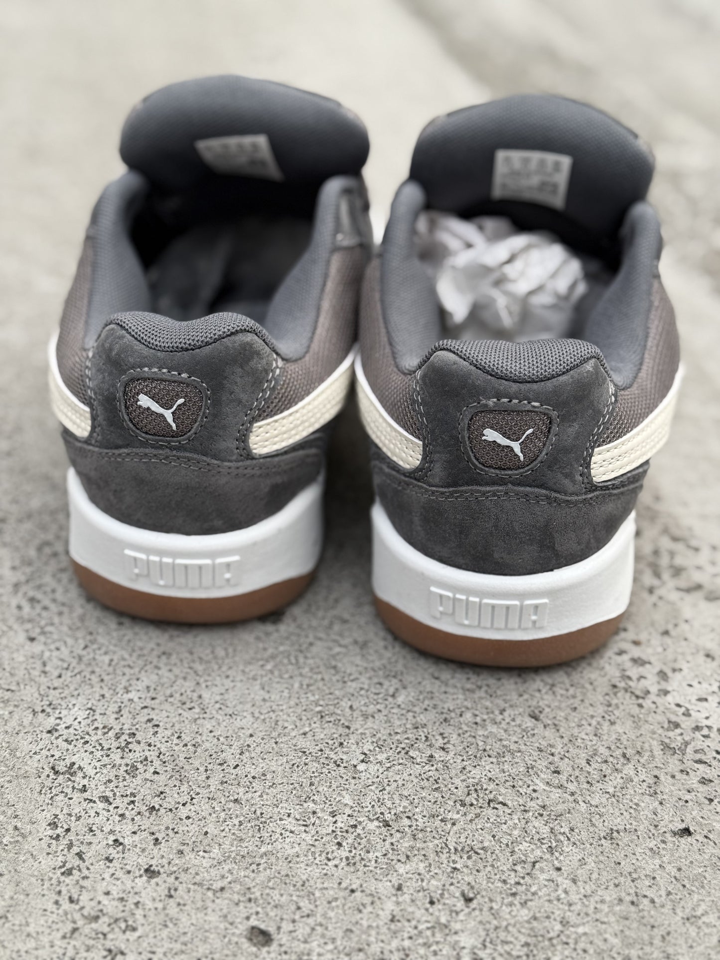 Puma Park