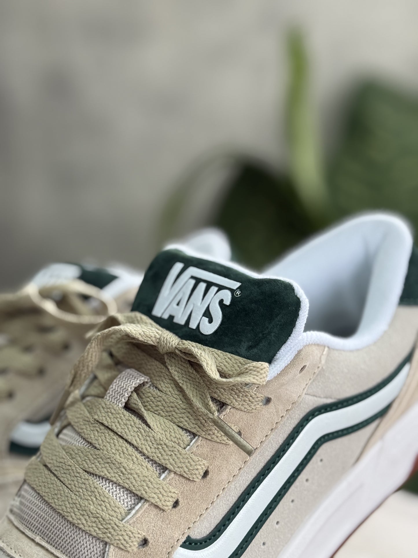 Vans Hylane sneakers in tri-tone khaki