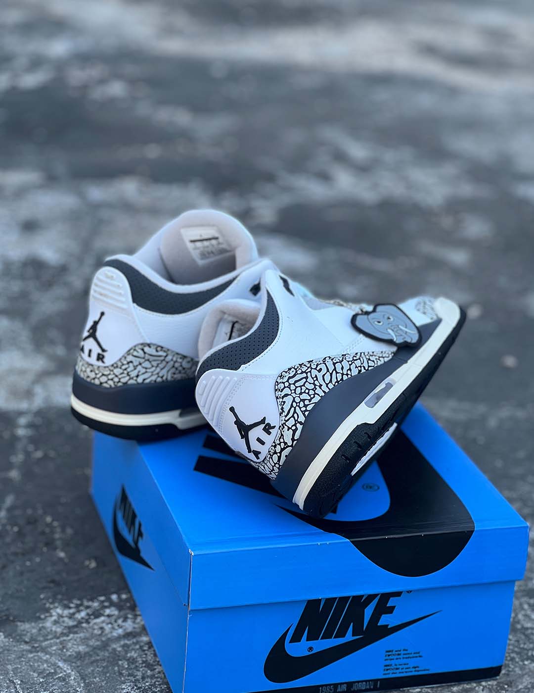 Air Jordan 3 Retro Hide N’ Sneak