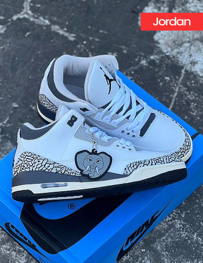 Air Jordan 3 Retro Hide N’ Sneak