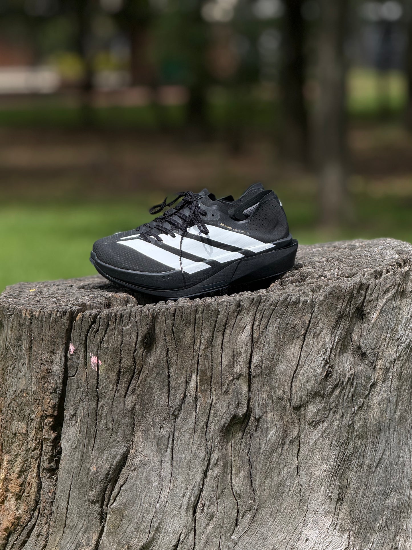 adidas Tenis Adizero EVO SL - Negro |
