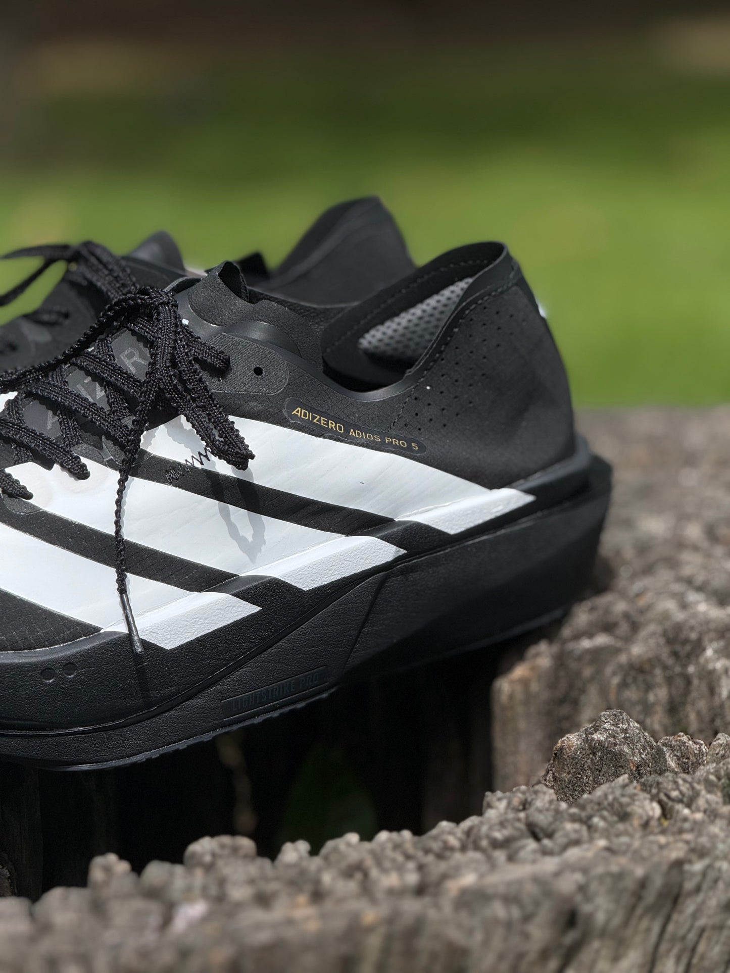 adidas Tenis Adizero EVO SL - Negro |