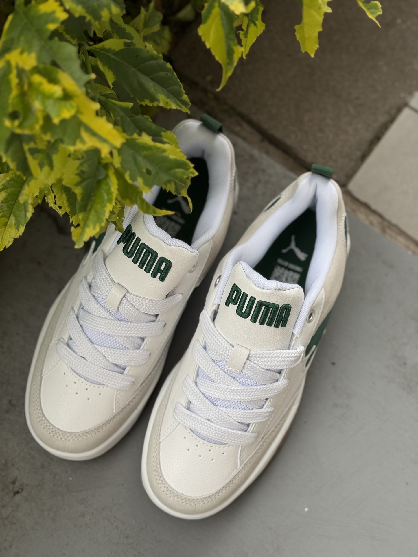 PUMA PARK VERDE