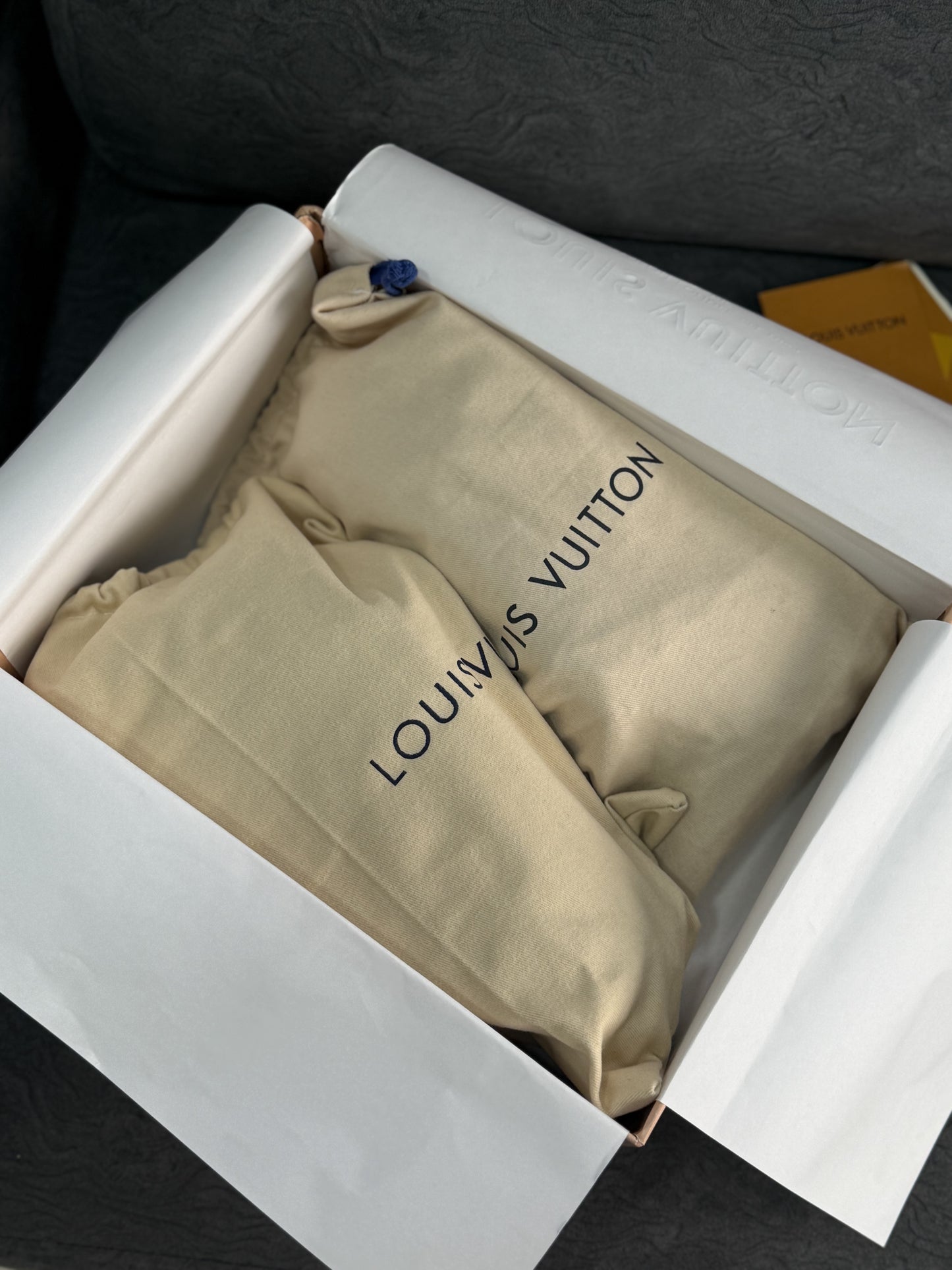 Louis Vuitton skate black