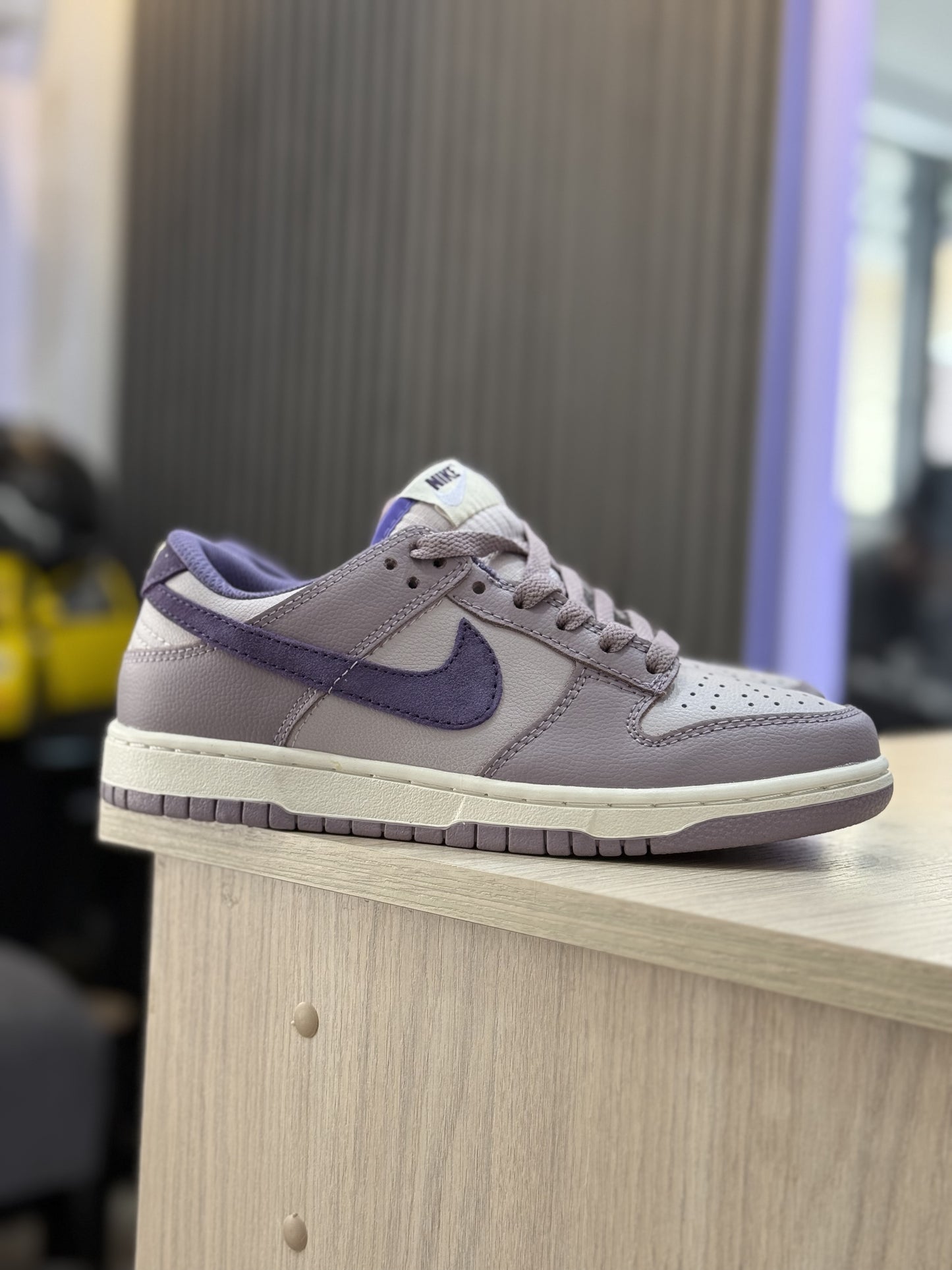 Nike Dunk Low Sb