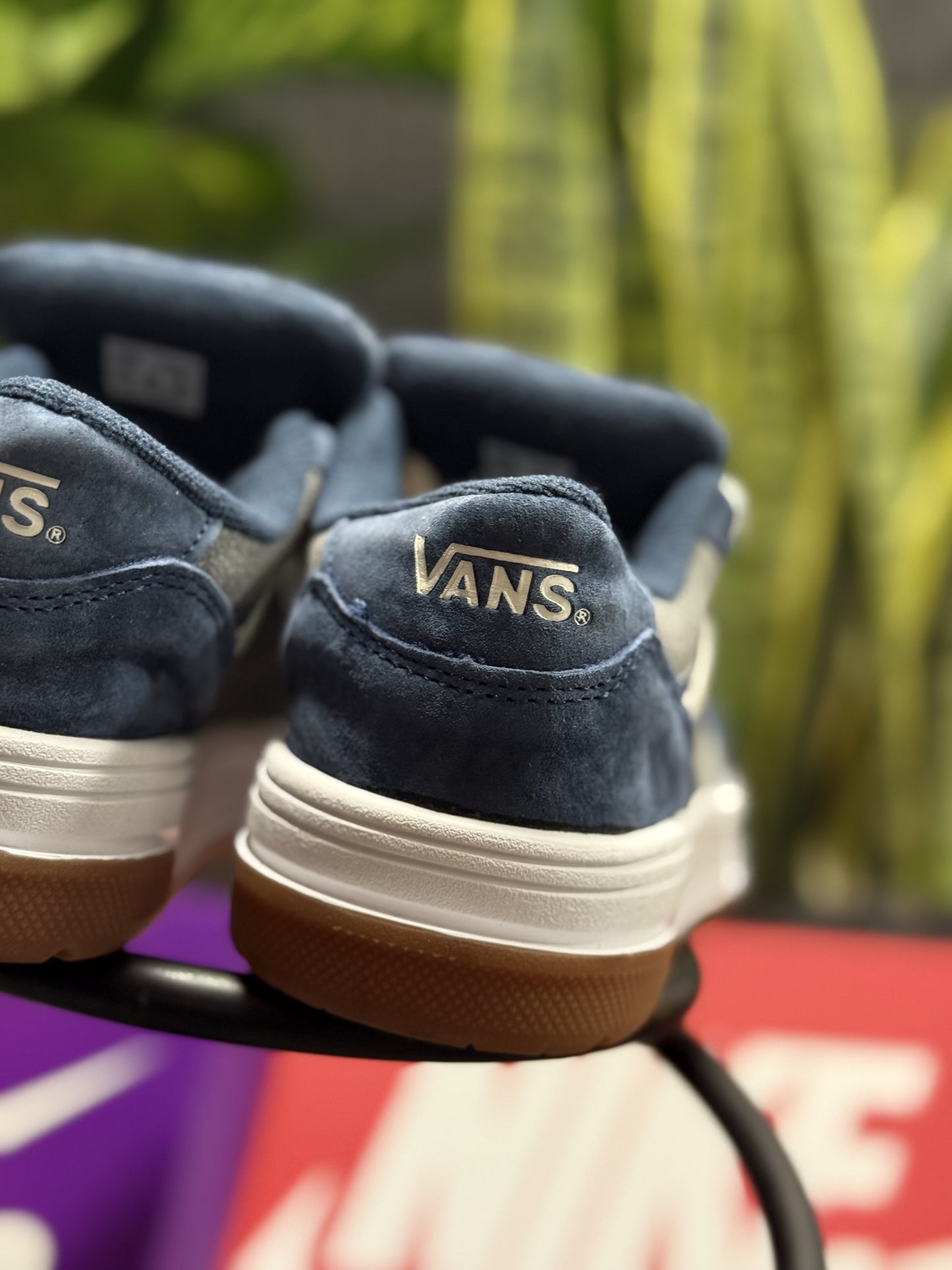 Vans Hylane Blue