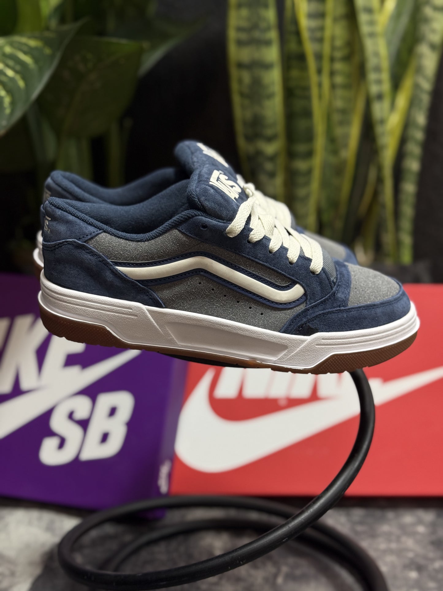Vans Hylane Blue