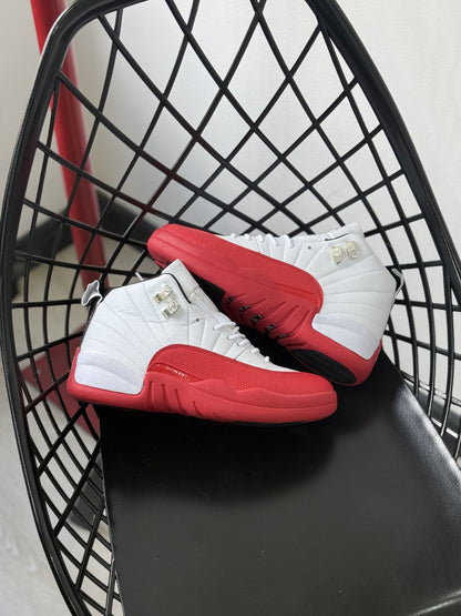 Air Jordan 12