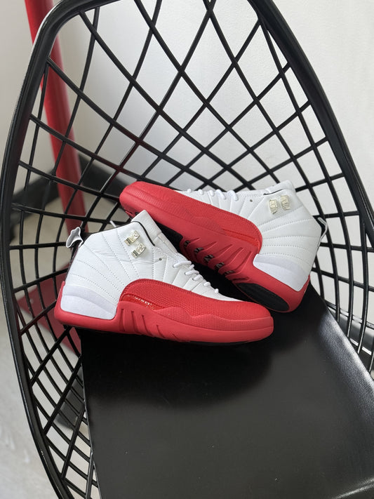 Air Jordan 12