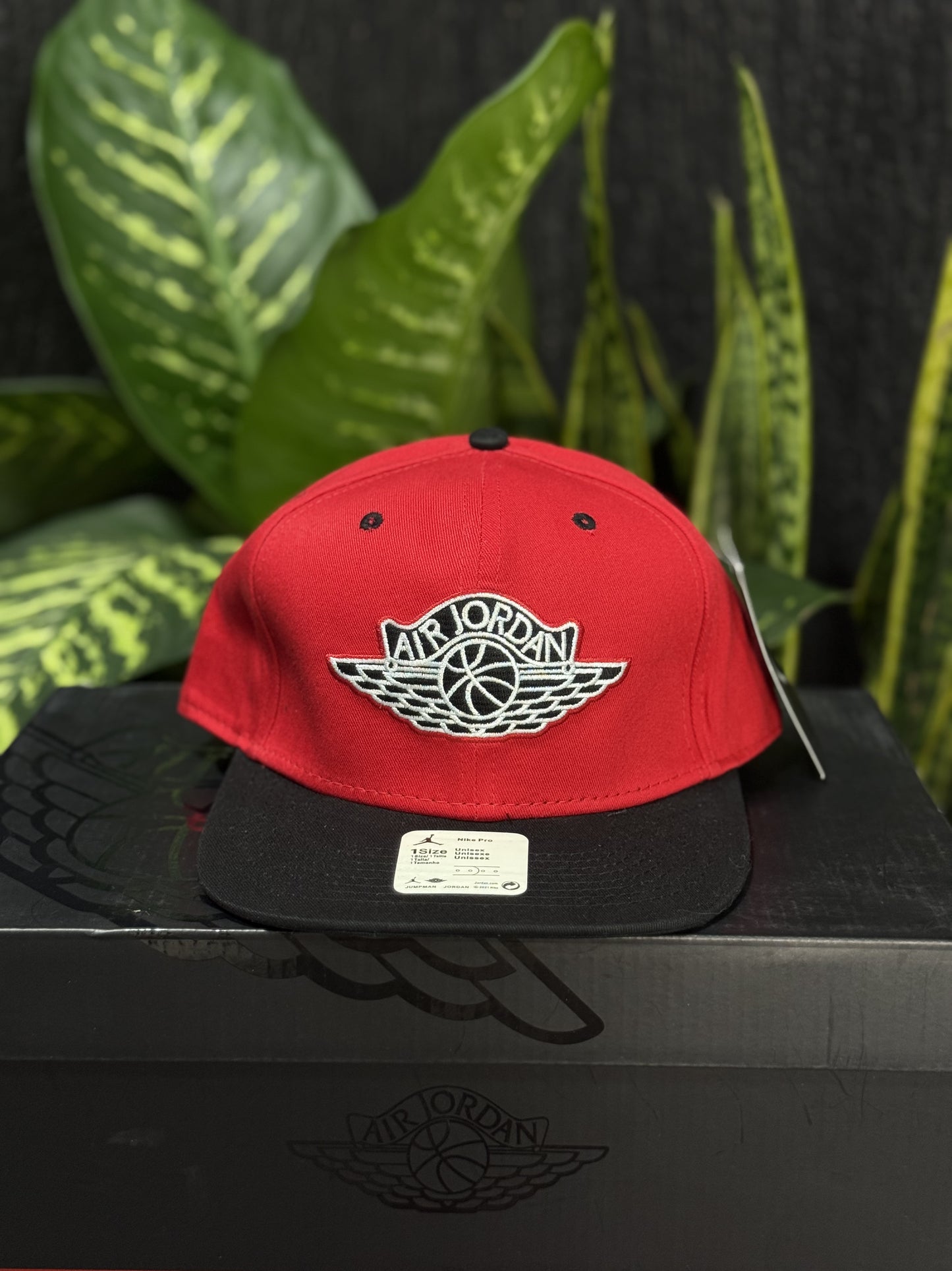 Air Jordan Cap