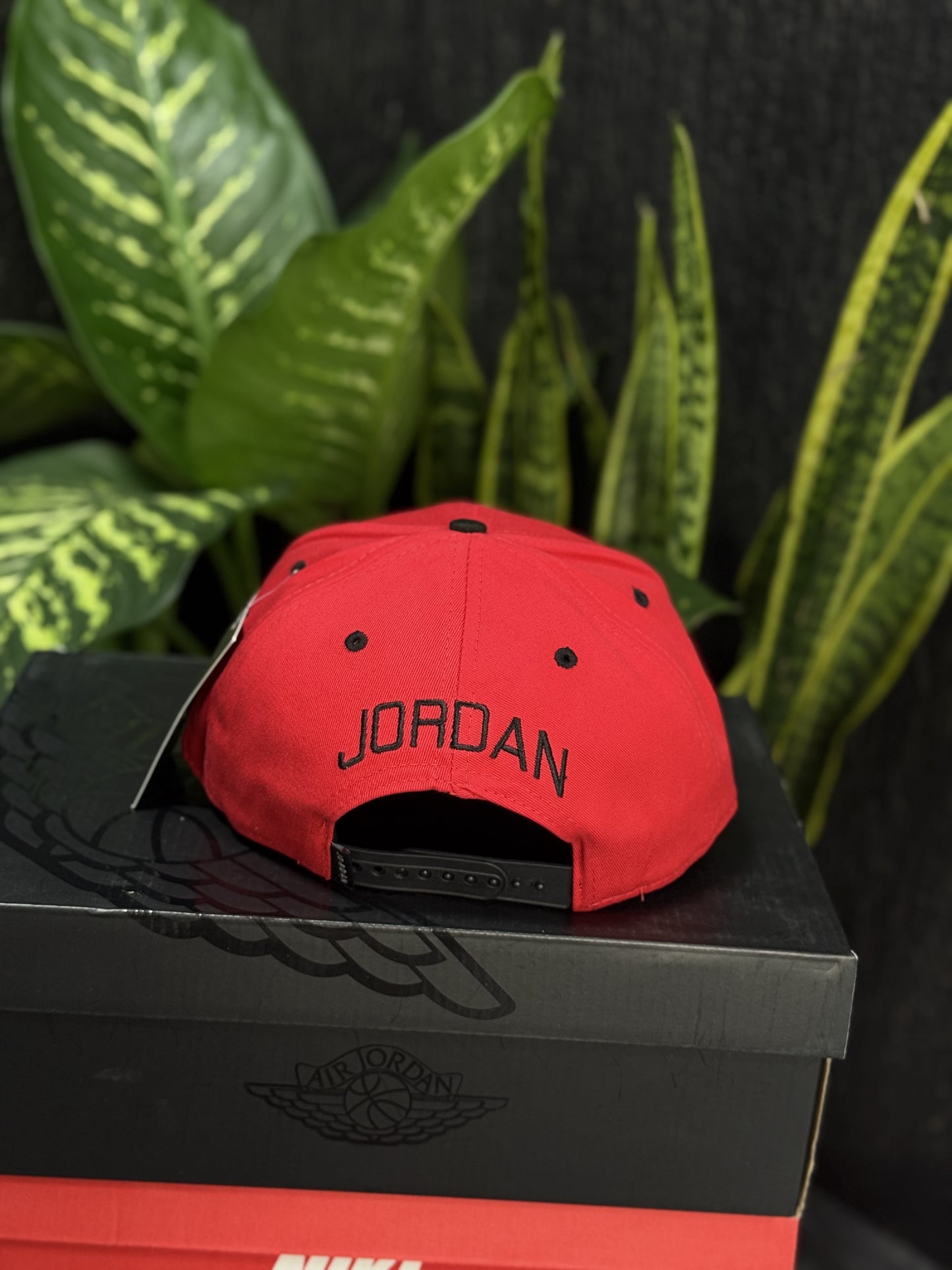 Air Jordan Cap