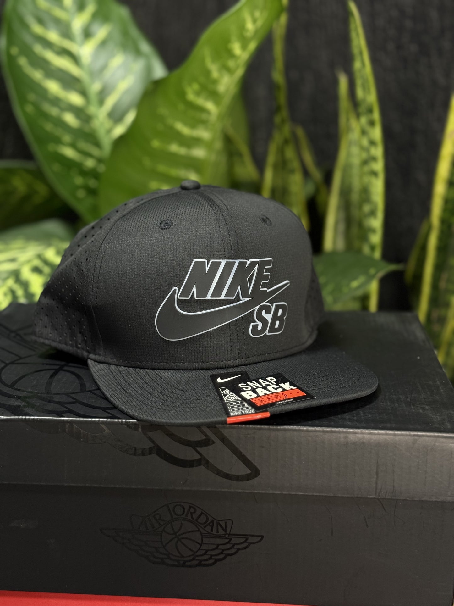 Gorra Nike SB