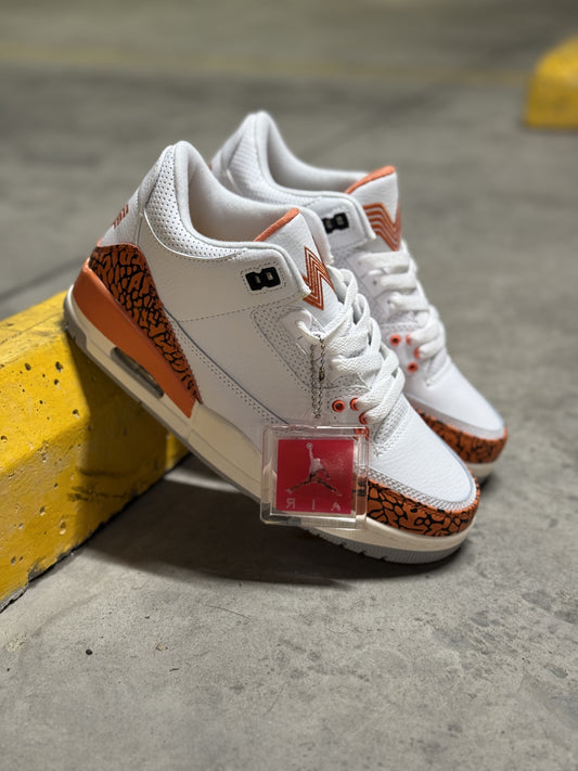 Jordan 3 Retro