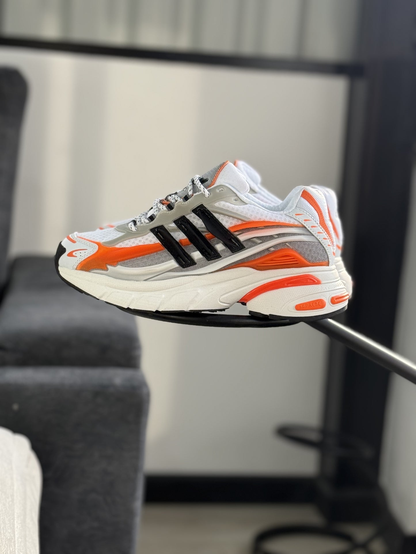 Alistar Jellyfish Pharrell Williams