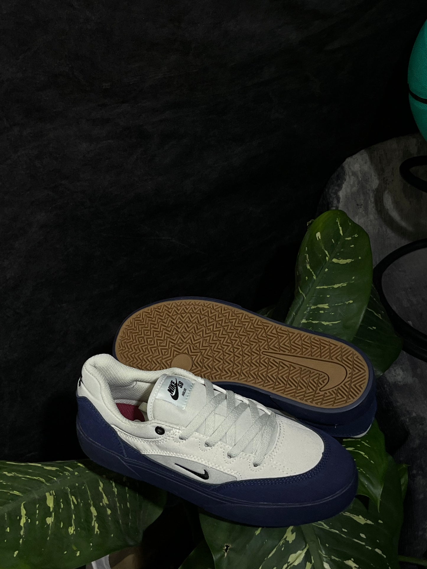 Tênis Nike SB Malor TE Bege/Azul Marinho