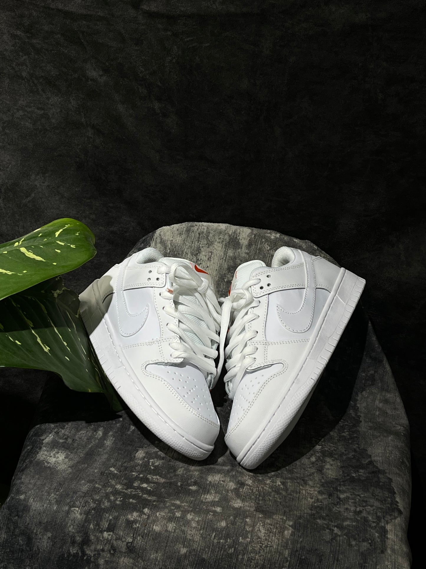 Tenis SB Dunk Low Pro Triple White