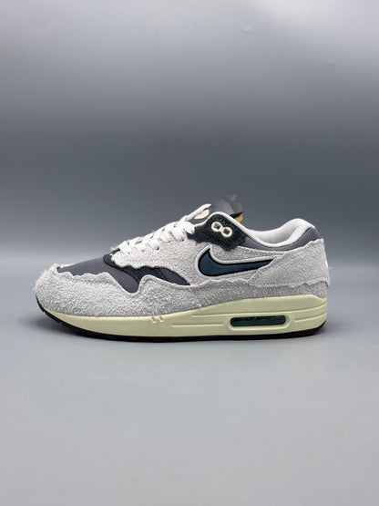 Nike Air Max 1 Protection Pack